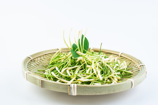 Bamboo sieve filled with fresh wild honeysuckle on white background