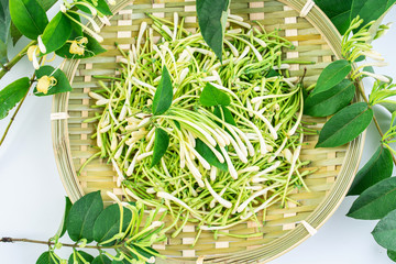 Bamboo sieve filled with fresh wild honeysuckle on white background
