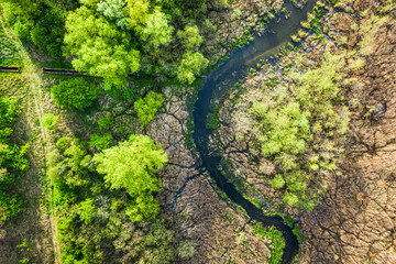 Green forest and river in spring, aerial view