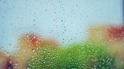 gotas de lluvia en ventana colores