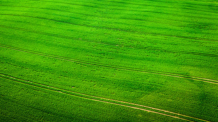 Aerial view of green field in spring, Poland, Europe