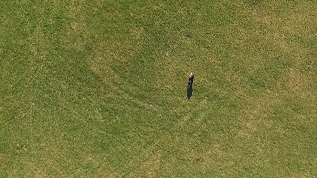 Aerial: Drone moving over man throwing plastic disc while dog chasing and catching on grass at park on sunny day - Denver, Colorado