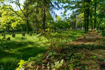 jewish cemetery