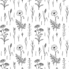 Hand drawn meadow flowers seamless pattern with poppy and chamomile. Vector illustration of medical plants in sketch style