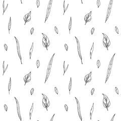 Hand drawn leaves and herbal seamless pattern. Vector illustration in sketch style