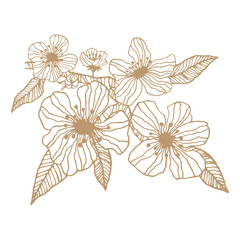 Apple tree flowers. Gold and white leaves and brunch. Luxury vintage hand drawn engraving vector.