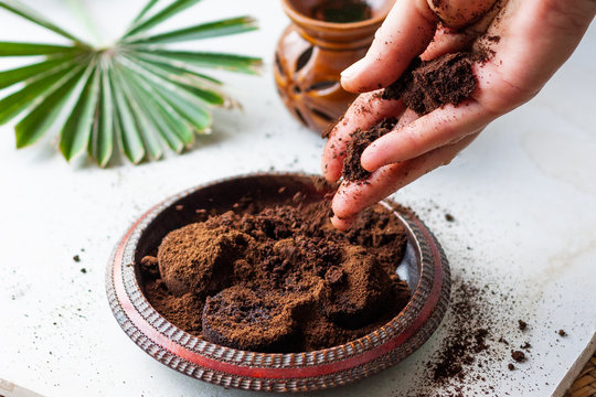 Woman's Hand Crumbles Coffee Grounds Into Wooden Bowl. Coffee Grounds Used As A Body Scrub Or Fertilizer For Plants