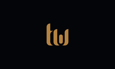 Fototapeta na wymiar TW Letter Minimal Logo Design Template Vector illustration 