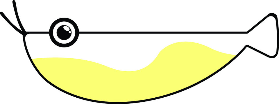 yellow fish