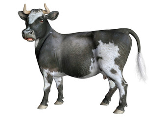 3D Rendering Cow on White