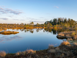 Colorful evening and sunset over the bog lake, crystal clear lake and bog in the evening, reflections on the water. Pine in the background.
