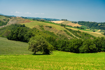 Rural landscape at Rivalta di Lesignano Bagni, Emilia-Romagna