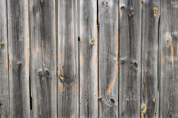 Fototapeta premium Old wooden texture for background. Vertical orientation. With abrasions and scratches. For design. 