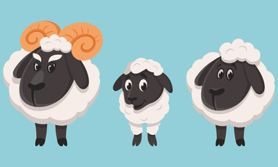 Sheep family in cartoon style. Farm animals of different sex and age.