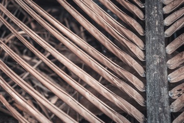 close up view of nice old palm leaf on white back