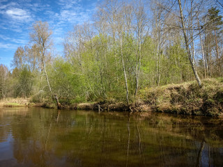 landscape with a small wild river bank, the first spring greenery, last year's reeds, tree reflections in the water