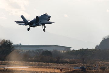 着陸態勢で飛行する戦闘機