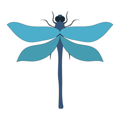 vector, isolated, dragonfly, insect on a white background