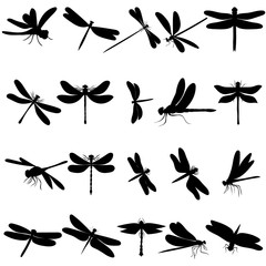 vector isolated dragonfly silhouettes set - obrazy, fototapety, plakaty
