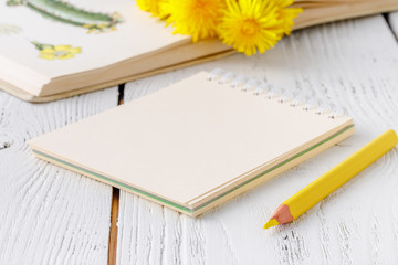 yellow dandelions and a notebook for notes on a white background. Home interior with decoration elements