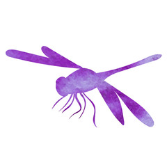 Obraz na płótnie Canvas isolated, purple watercolor dragonfly silhouettes on white background