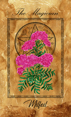 The Magician. Major Arcana tarot card with Milfoil and magic seal.