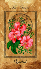 Devil. Major Arcana tarot card with Orchid and magic seal.