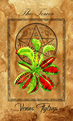 The Tower. Major Arcana tarot card with Venus Flytrap and magic seal.