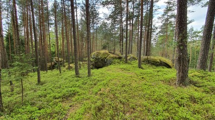 Stein wald Stone Wackelsteine Findlinge Ruhe 