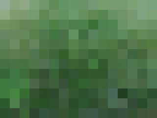 Multi-colored rectangular pixel background. The texture consisting of multi-colored squares.