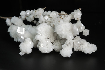 white crystals of salt