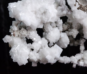 white crystals of salt