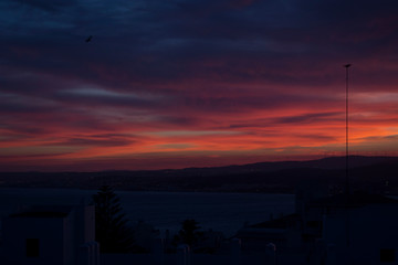 cielo