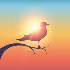 wildlife gull bird in sunny colorful sky vector illustration EPS10