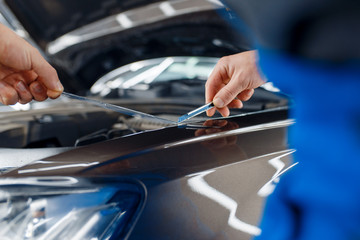 Worker installs protection film on car hood