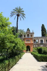 Obraz premium Jardines del Real Alcázar de Sevilla (Andalucía, España)