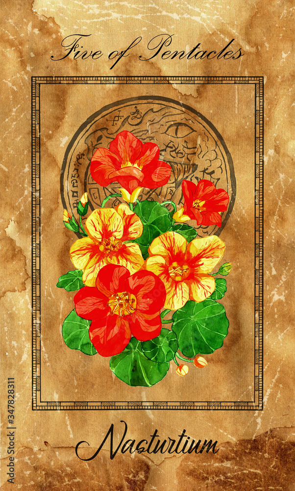 Wall mural Five of pentacles. Minor Arcana tarot card with Nasturtium and magic seal.