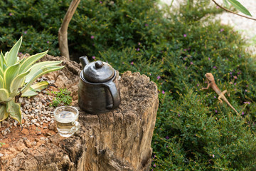 Chinese tea pot placed on old tree stump in garden with.small chameleon standing beside