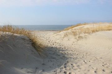 
sandy coast of the Baltic Sea