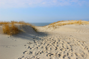 Fototapeta na wymiar sandy coast of the Baltic Sea