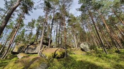 Stein Wald Himmel Natur 