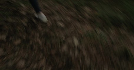 Scared women legs run from wolf in a dense forest, original audio included