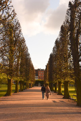 コペンハーゲンの公園の風景。ヨーロッパの景色。View of the garden in Copenhagen, Denmark in spring time