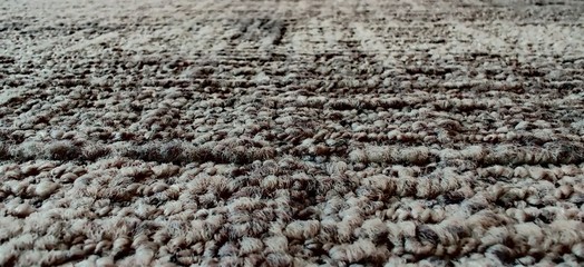 Carpet flooring