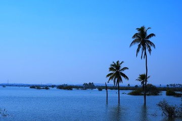 Fototapeta na wymiar Indian Lake at Kutch, Gujarat, India, Garden, Indian River