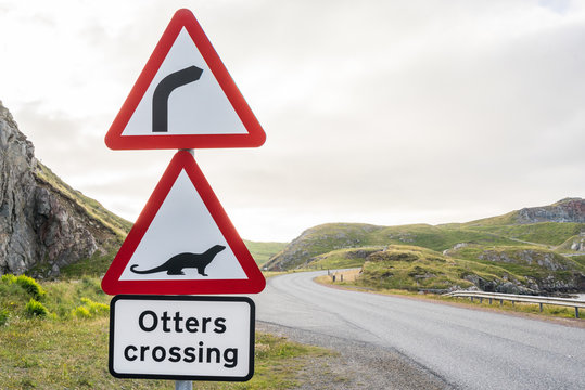 Dangerous right curve and Otters crossing ahead. Red warning road sign along a highway in the scottish highlands. Scotland, UK, on a cloudy day
