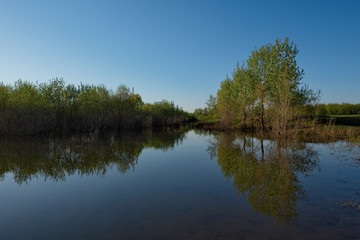 Fototapeta na wymiar Russia, Kuznetsky Alatau. Flooded with spring water, the shore of the Tom river near the village of Osinovoe Pleso.