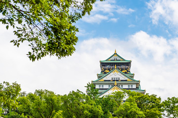 Fototapeta premium Osaka Castle surrounded with fresh green sakura trees in Summer Blue Sky Day, Osaka, Japan
