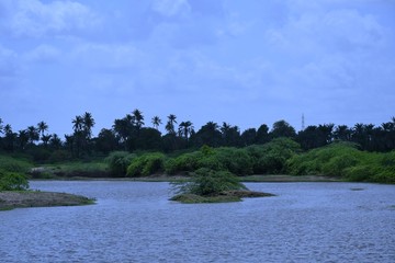 Indian Lake at Kutch, Gujarat, India, Garden, Indian River