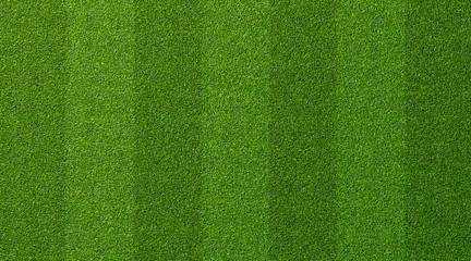 Green grass texture for sport background. Detailed pattern of green soccer field or football field grass lawn texture. Green lawn texture background.